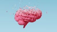 An artist's concept of a human brain atrophying in cyberspace.