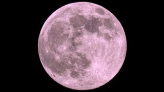 A full pink-colored moon rises against a dark sky