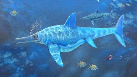 an illustration of an ichthyosaur swimming underwater with ancient fish